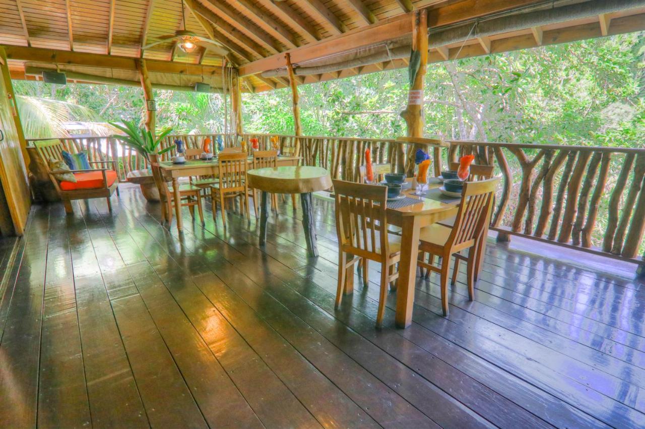 Zimbali Culinary Retreats Villa Negril Eksteriør bilde