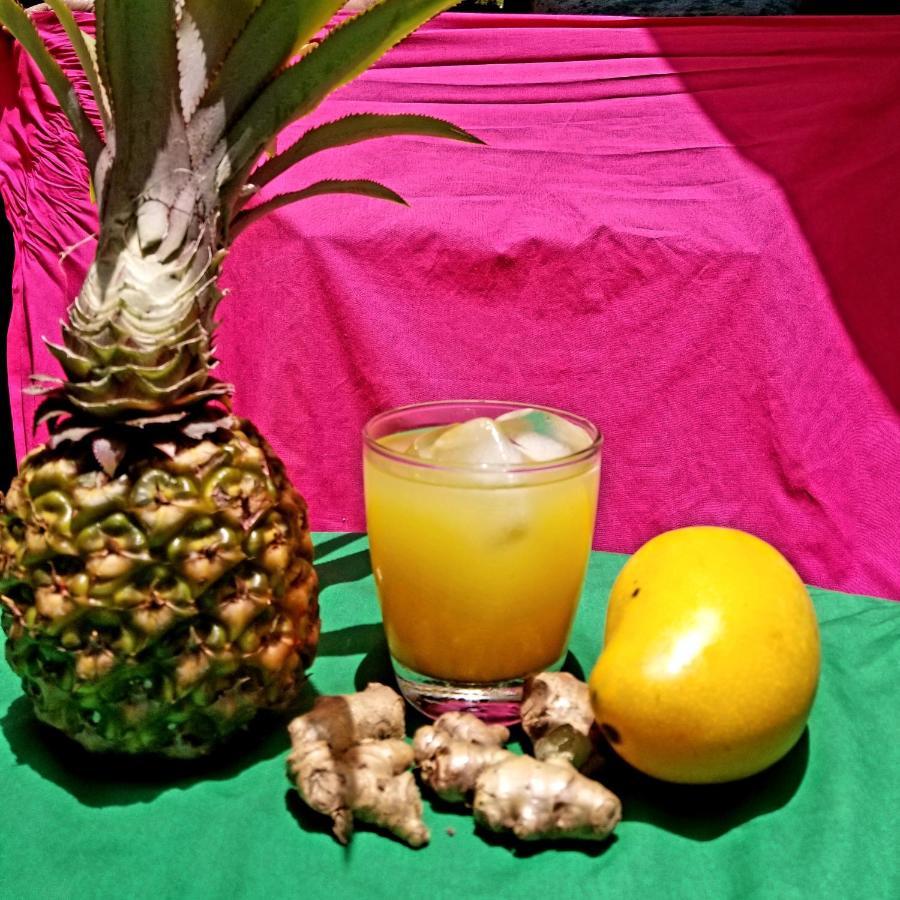 Zimbali Culinary Retreats Villa Negril Eksteriør bilde