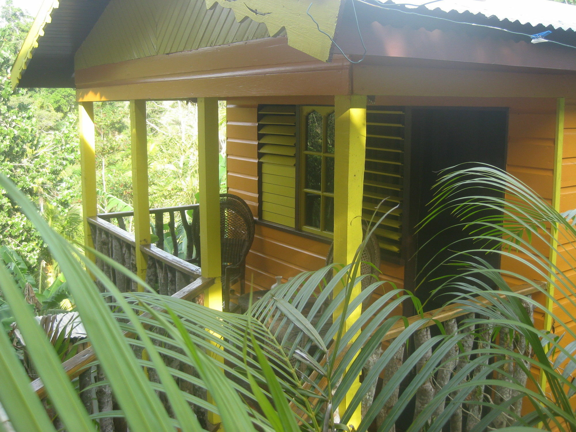 Zimbali Culinary Retreats Villa Negril Eksteriør bilde