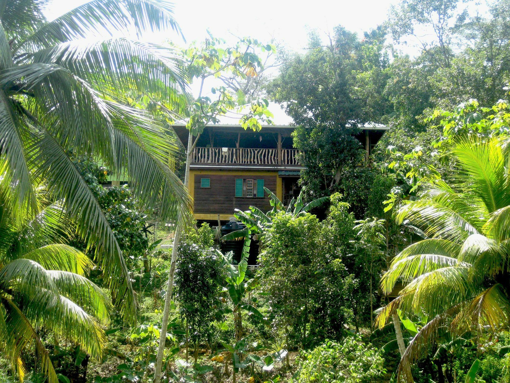 Zimbali Culinary Retreats Villa Negril Eksteriør bilde