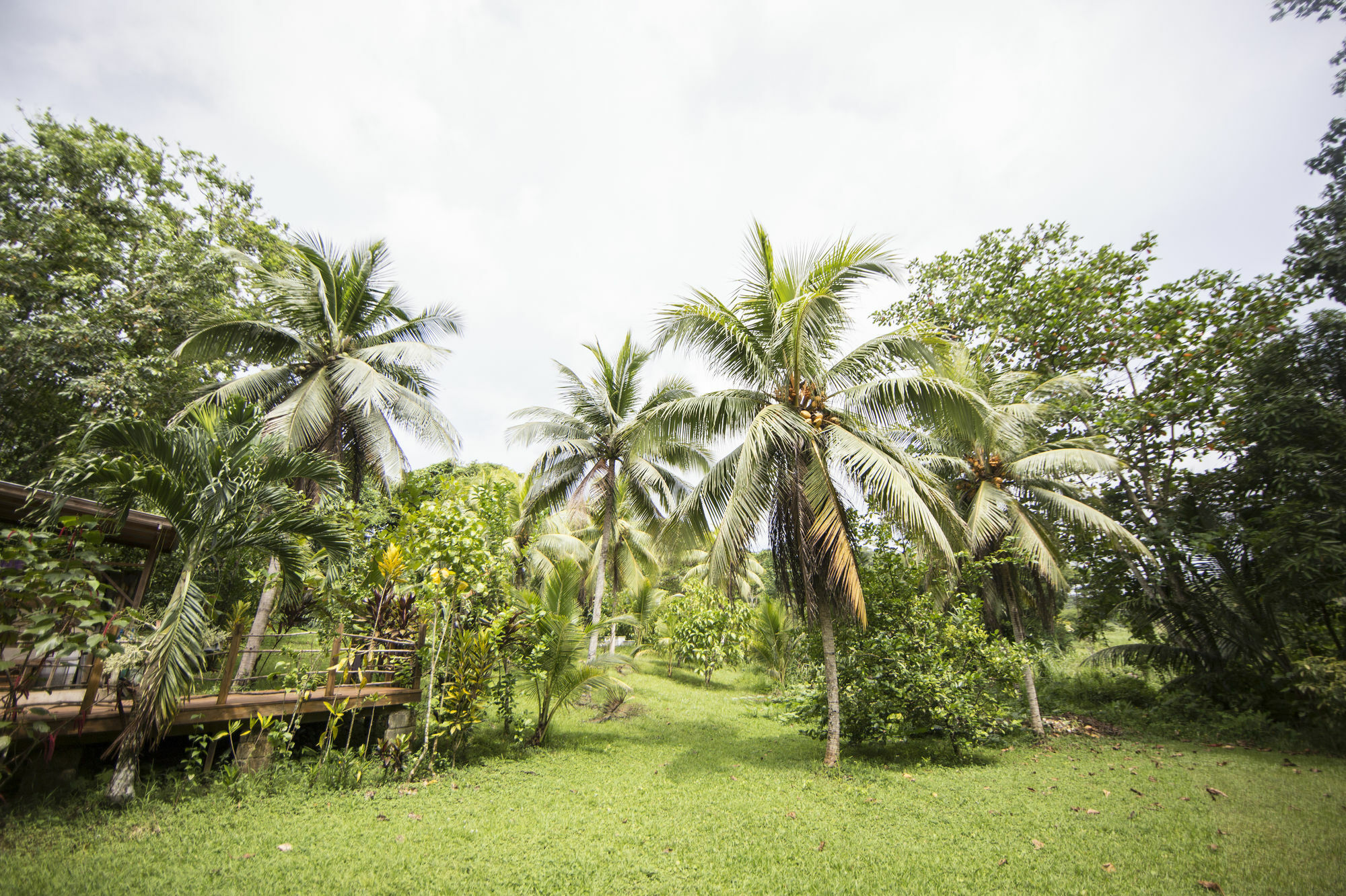 Zimbali Culinary Retreats Villa Negril Eksteriør bilde