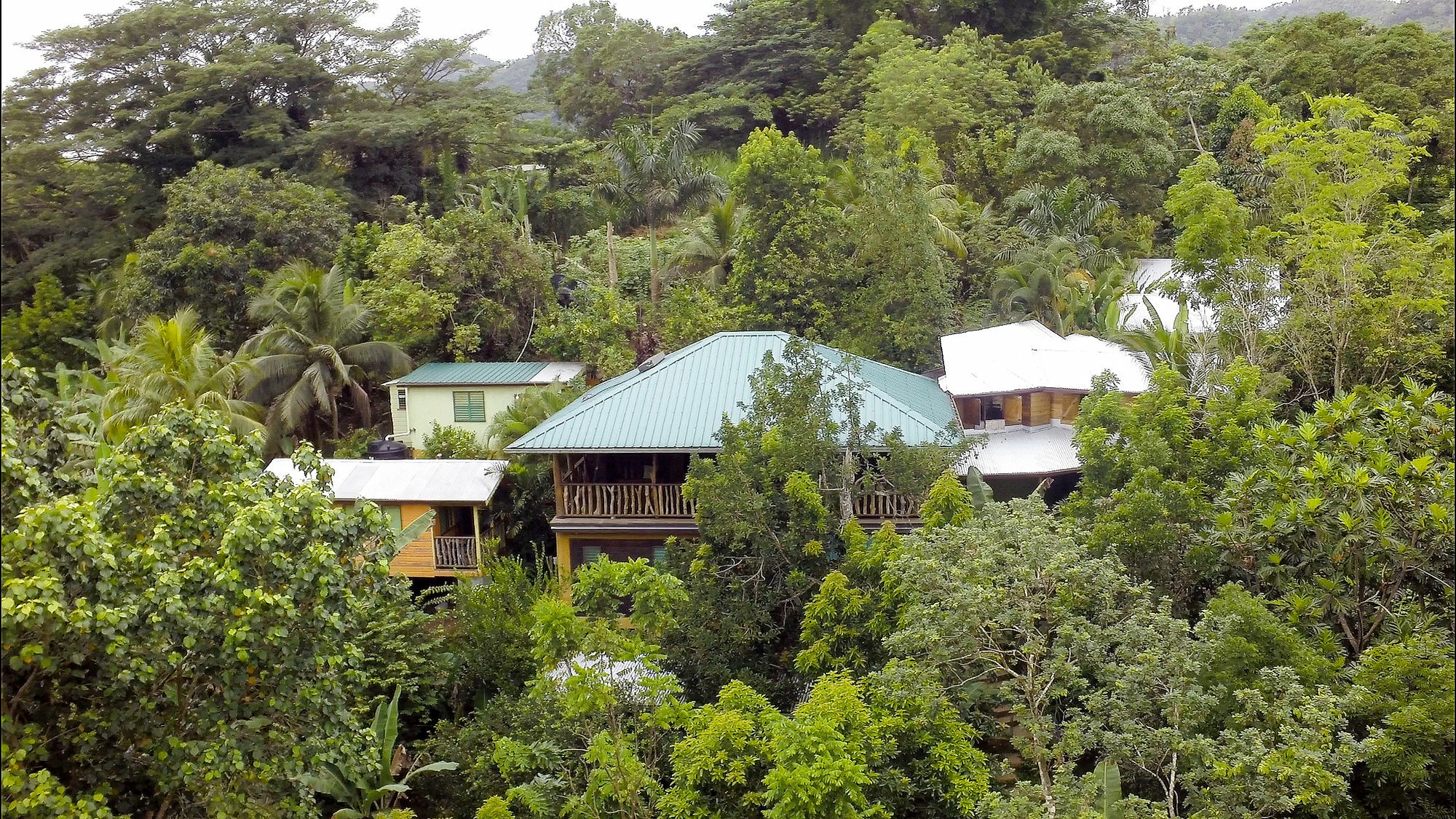 Zimbali Culinary Retreats Villa Negril Eksteriør bilde